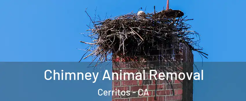 Chimney Animal Removal Cerritos - CA