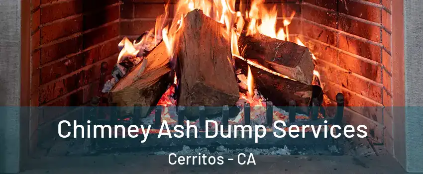  Chimney Ash Dump Services Cerritos - CA