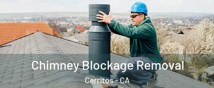  Chimney Blockage Removal Cerritos - CA