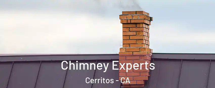 Chimney Experts Cerritos - CA