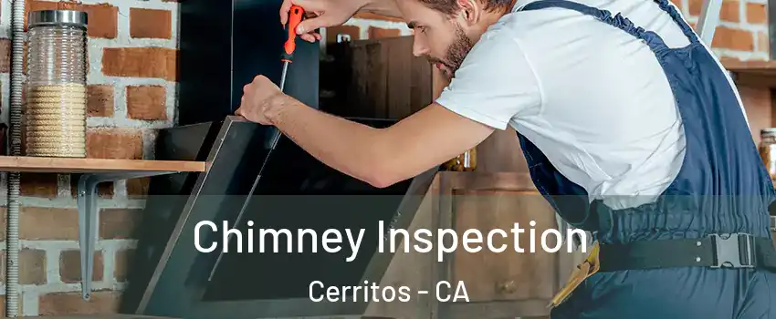  Chimney Inspection Cerritos - CA