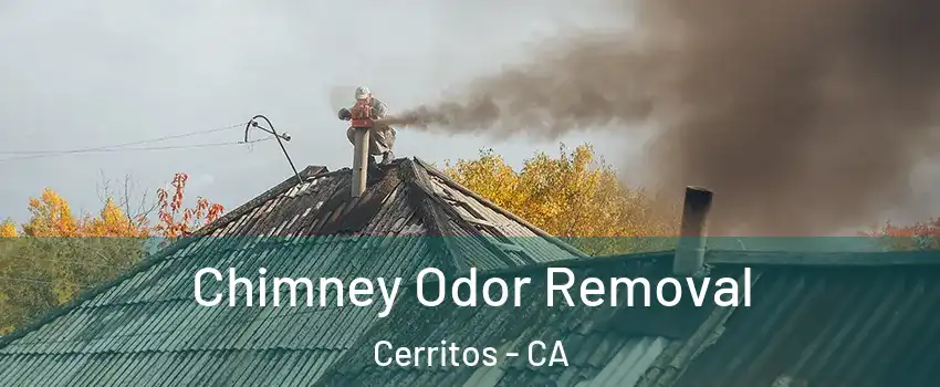  Chimney Odor Removal Cerritos - CA