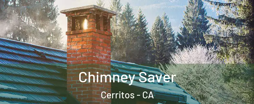  Chimney Saver Cerritos - CA