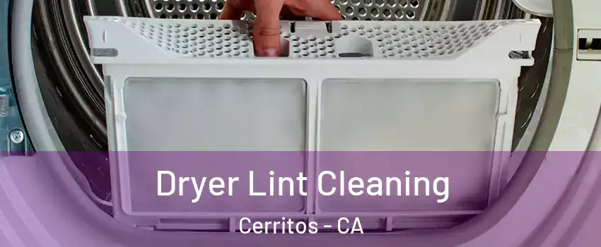  Dryer Lint Cleaning Cerritos - CA