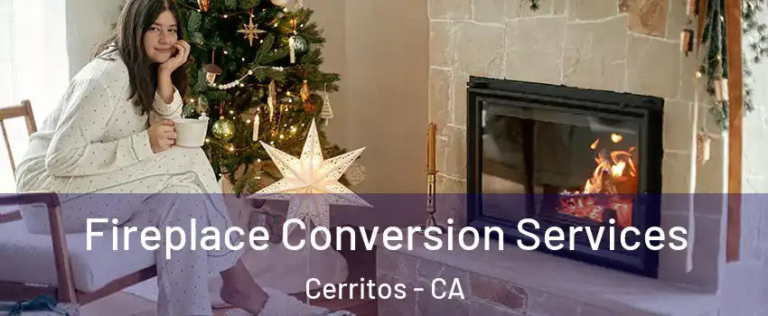  Fireplace Conversion Services Cerritos - CA
