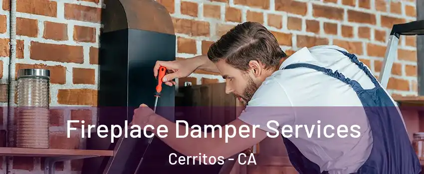  Fireplace Damper Services Cerritos - CA