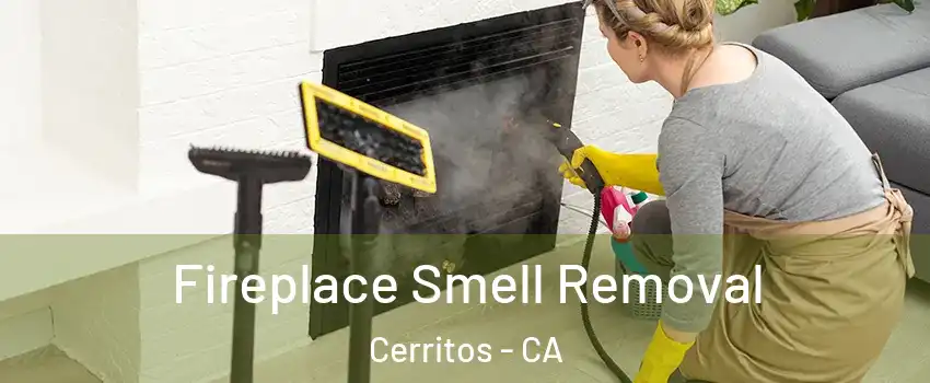  Fireplace Smell Removal Cerritos - CA