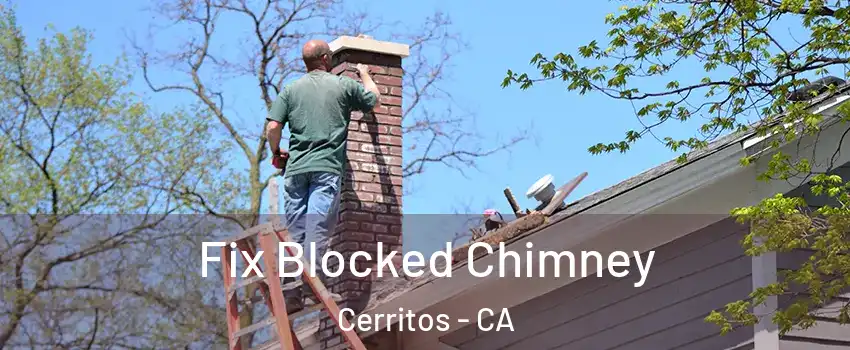 Fix Blocked Chimney Cerritos - CA