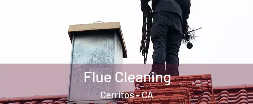 Flue Cleaning Cerritos - CA