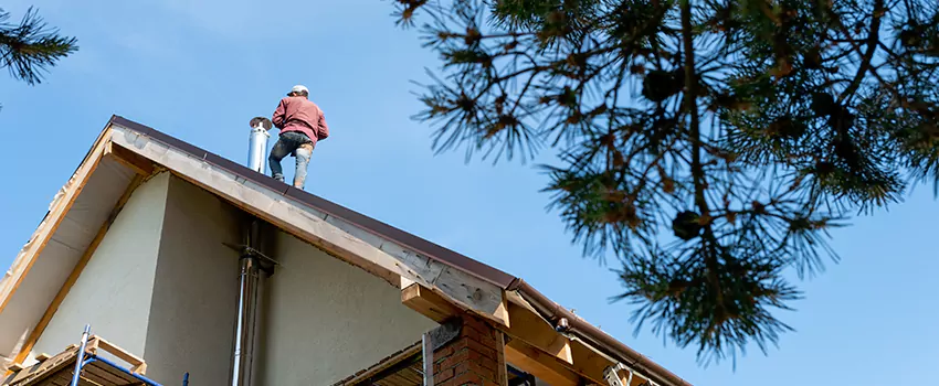 Birds Removal Contractors from Chimney in Cerritos, CA