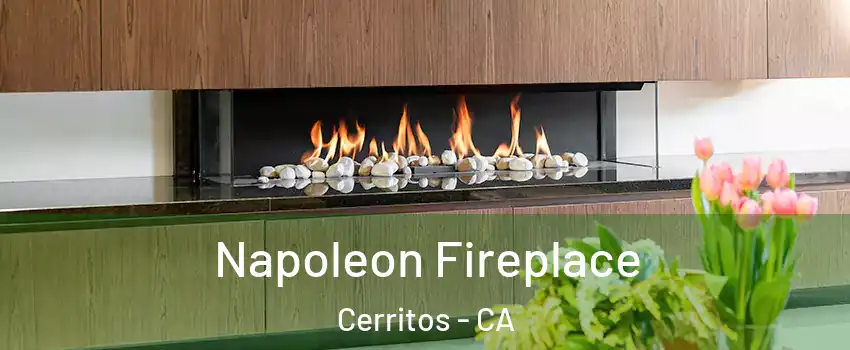  Napoleon Fireplace Cerritos - CA